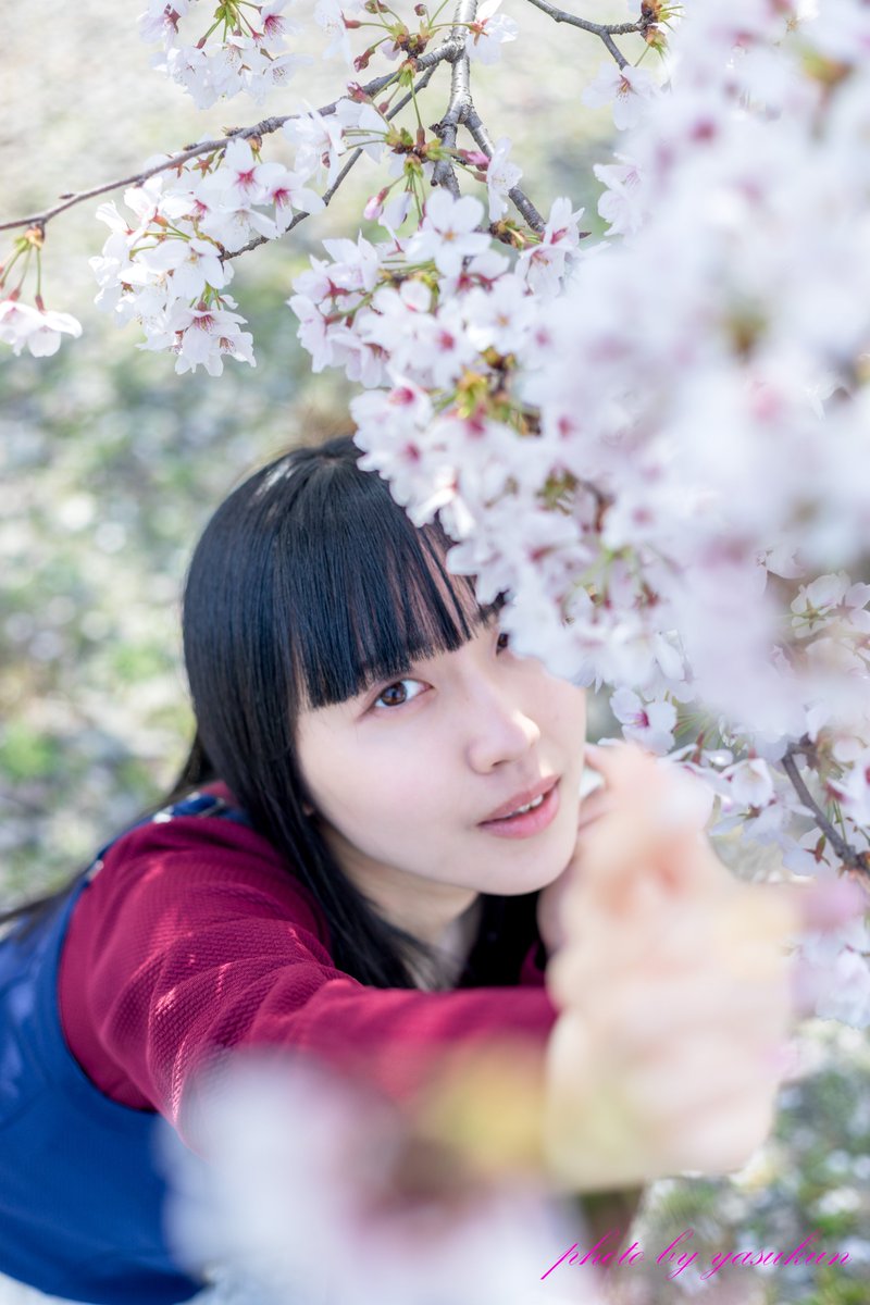 yisihara1's tweet image. まじゅさん　
「Hand in hand」　
#桜　
#ポートレート　#portrait