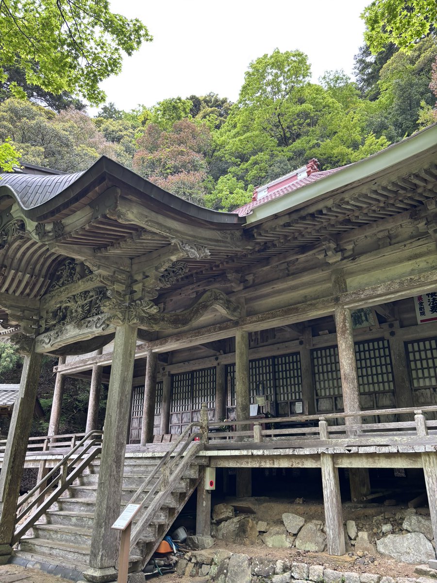 ぶんちゃん tweet media