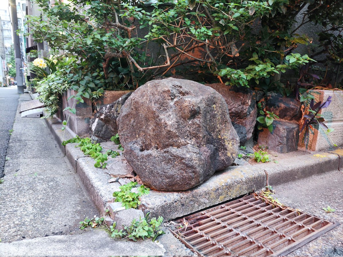 ただの岩なのに可愛くてしょうがない…！！！
オレはもうダメなのかもしれない！！！！！！