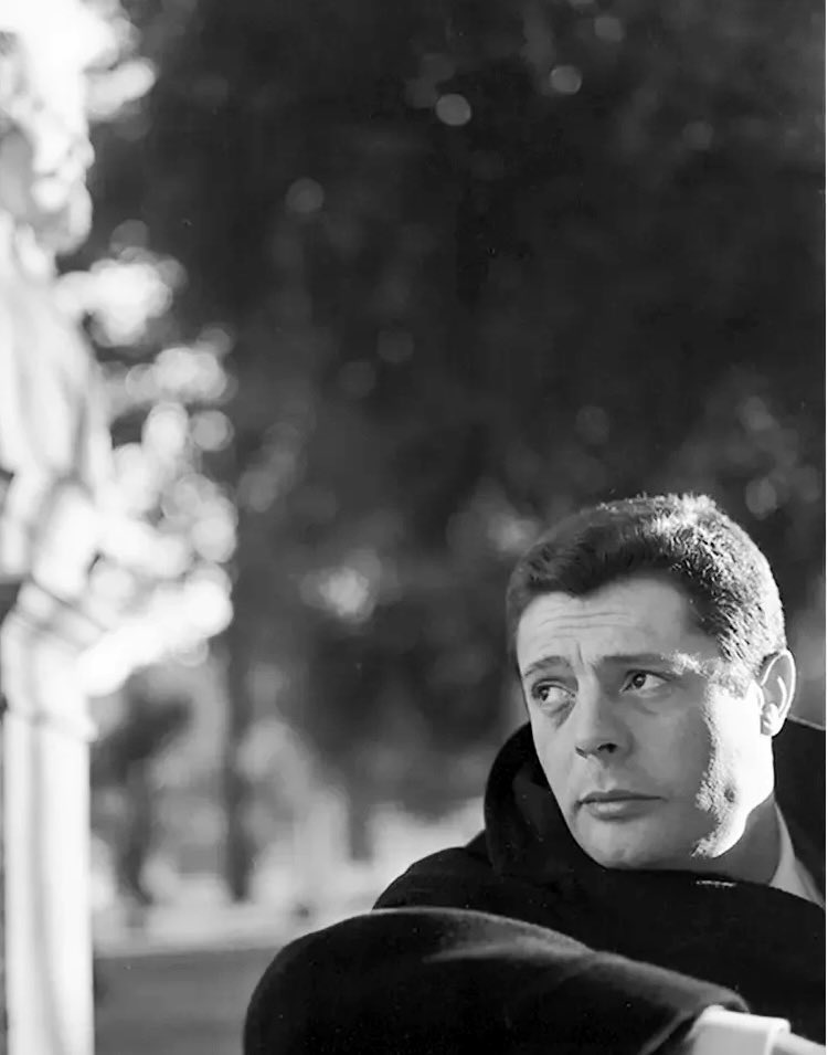 Stefano Bo' tweet media