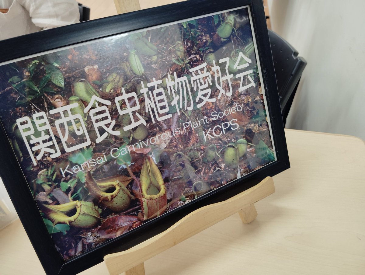 ニコライ(食虫植物・古墳) tweet media