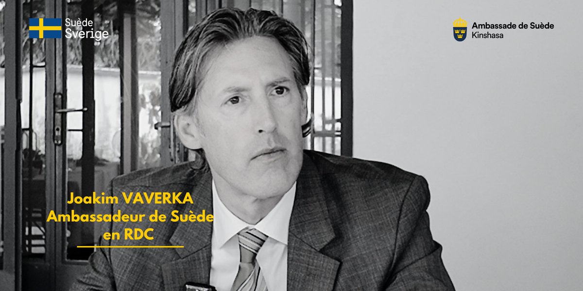 Sweden in DR Congo tweet media