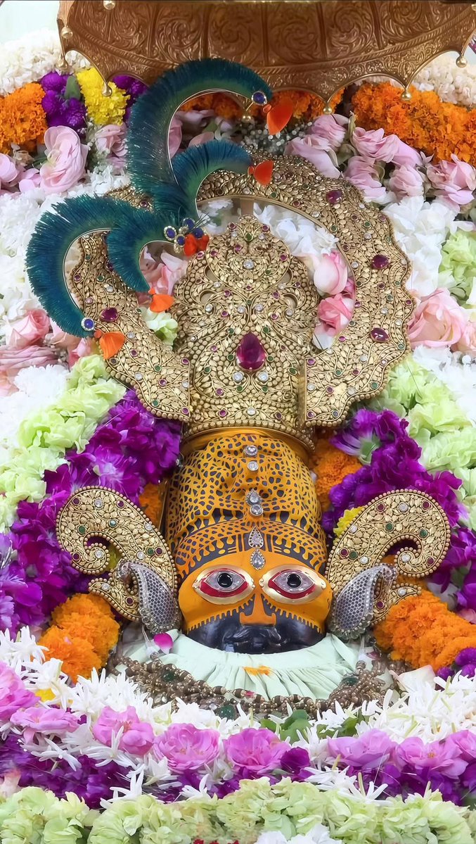 Sheetu ✳️ tweet media