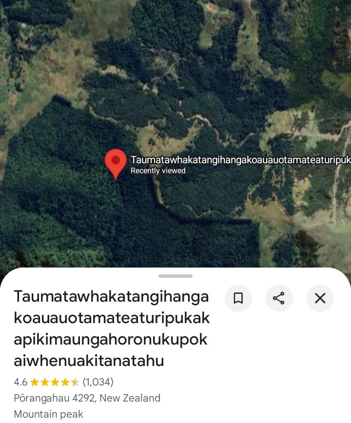 Rumput Padi Ilalang tweet media