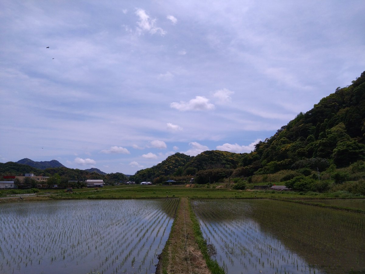 n k helios tweet media