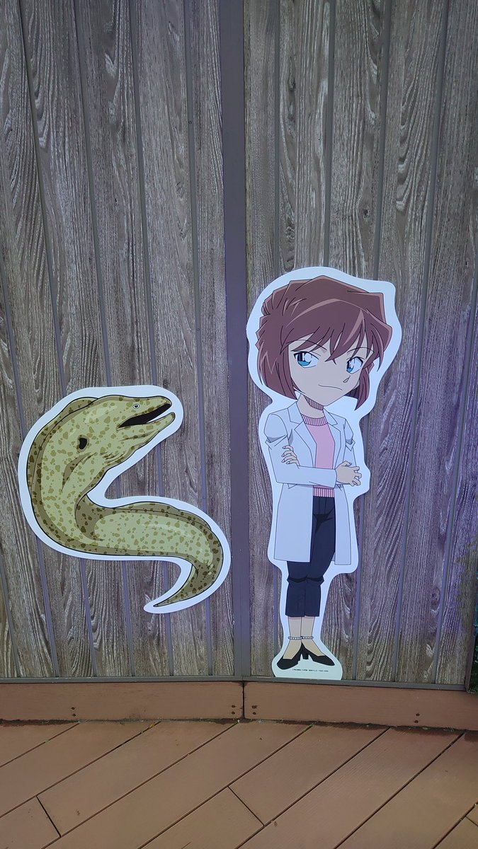 A_eowy's tweet photo. 逛水族館之餘發現我推（？ https://t.co/m6z8mlDKbt