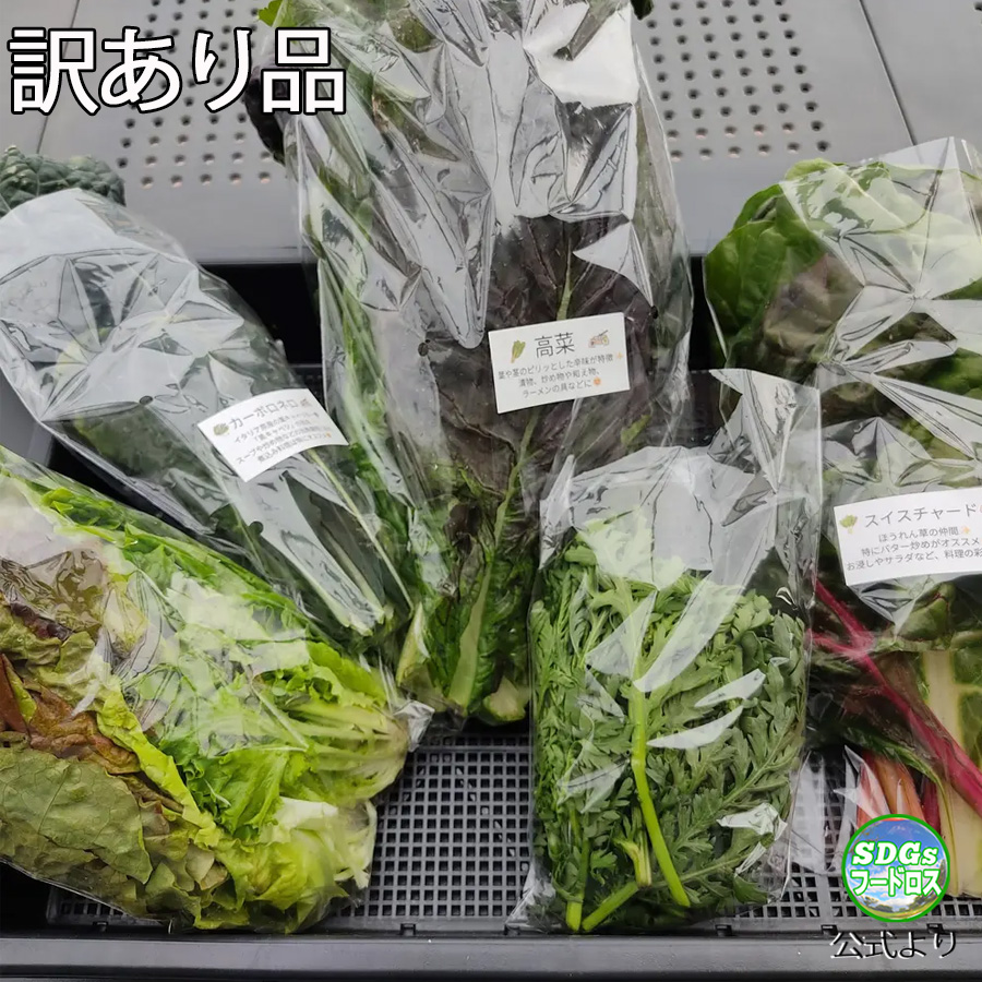 king_ceo1968's tweet image. ＼🫶お得においしくSDGｓ🫶／

#訳あり #フードロス
畑のもったいないを詰め合わせ

x.gd/5FBpW

「わけあり品の理由」
通常の商品としては出せない
お野菜を集めた
訳ありおまかせセット

#SDGs
#食品ロス削減
#フードロス削減