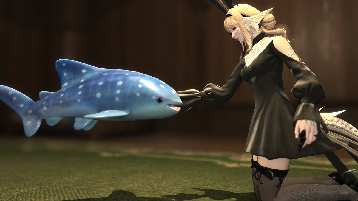 あるてまのおしらさん tweet media