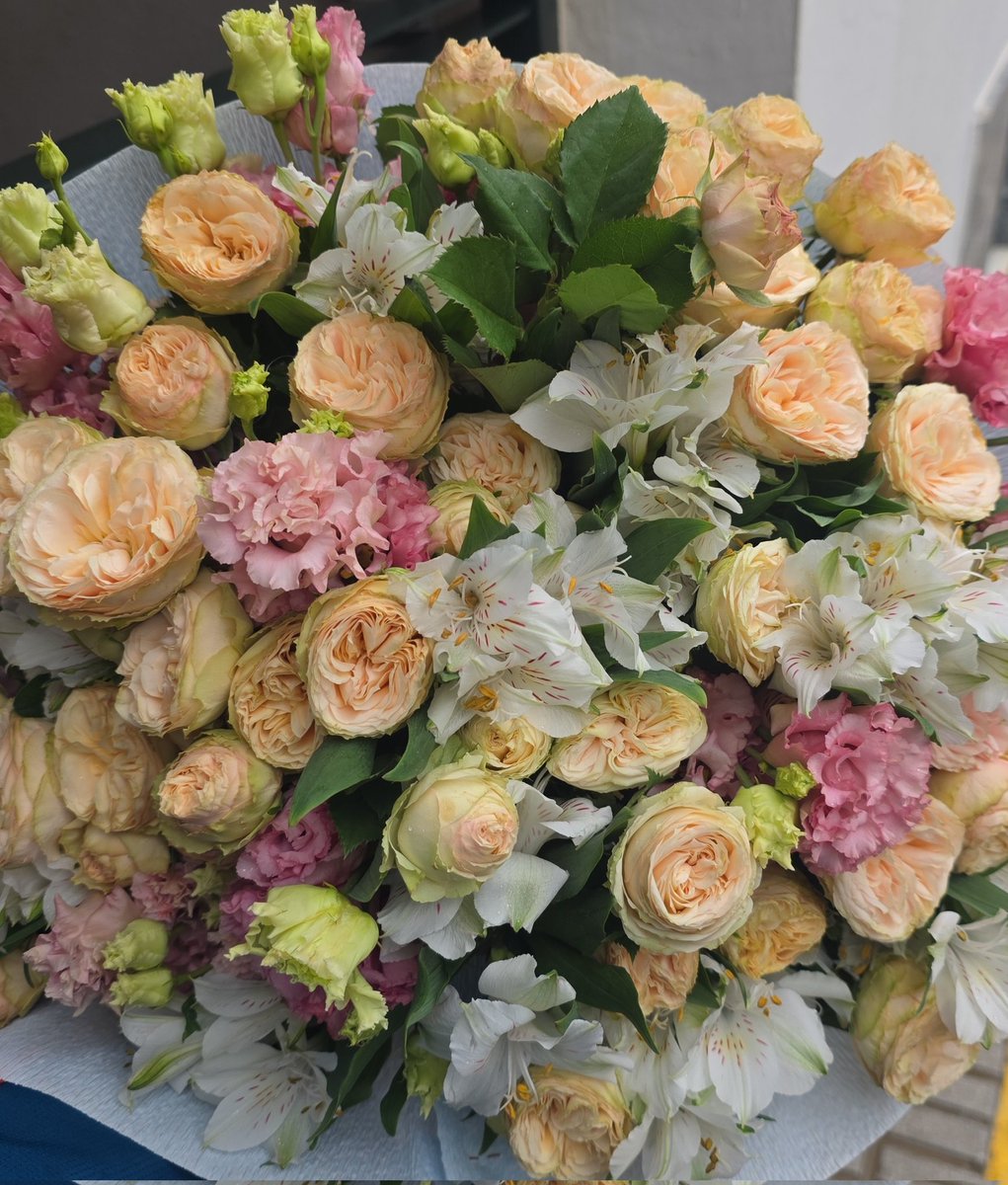FLORES VENTURA tweet media