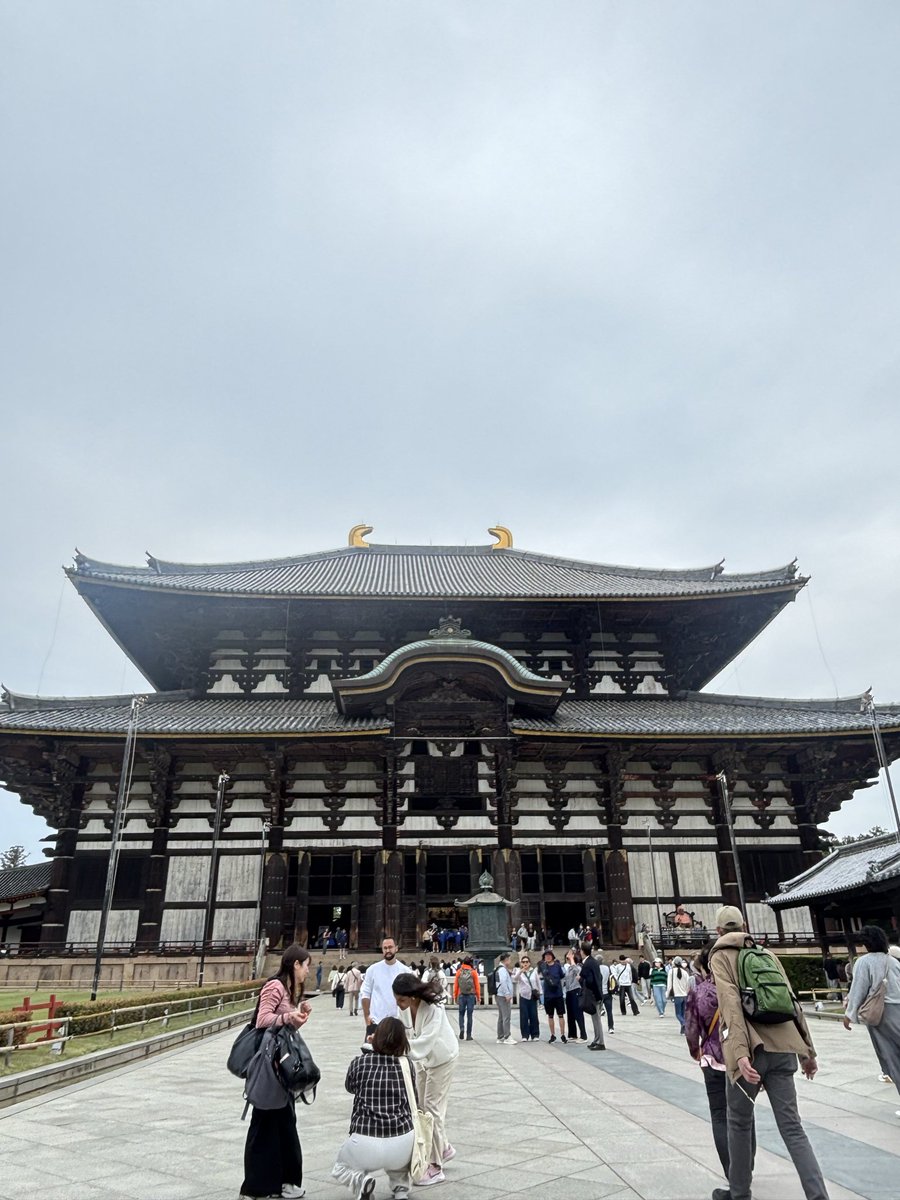 奈良学生ガイド(Nara Student Guide) tweet media
