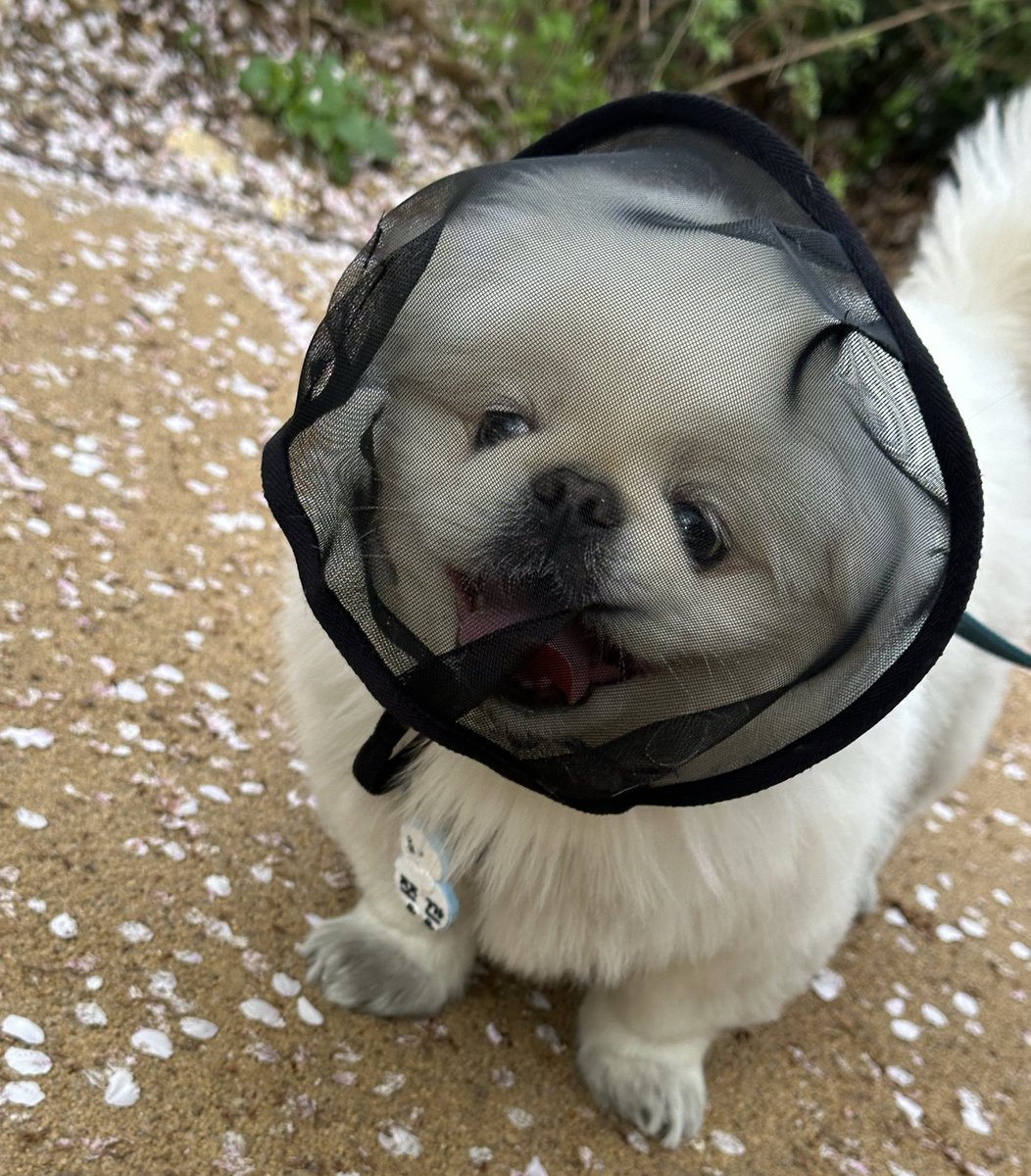 김수수 tweet media