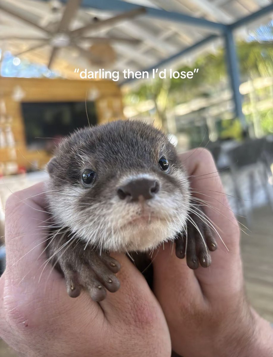 moley tweet media