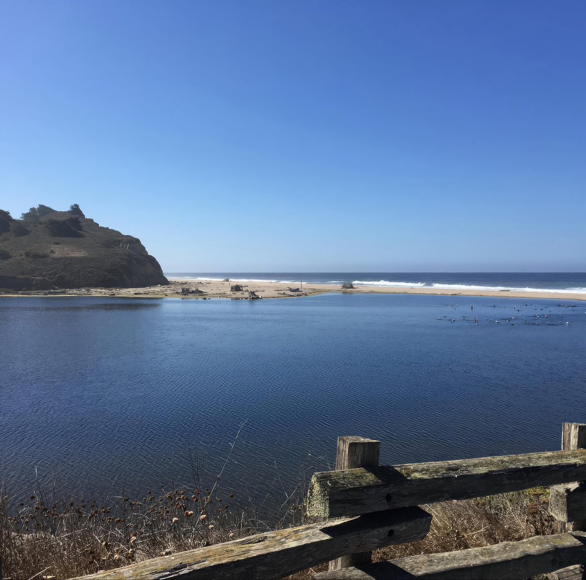 lleuchter's tweet image. Throwback an die traumhaften Strände entlang des Highway 1 🌊🏖️ Von San Francisco bis Los Angeles – wilde Küsten, goldener Sand und perfekte Stopps mit Aussicht aufs endlose Meer.

#naturelover #nature #photography