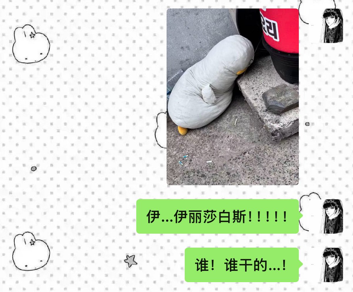 小猫智商低 tweet media