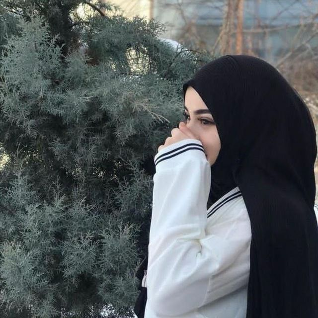 Ayesha Noor tweet media