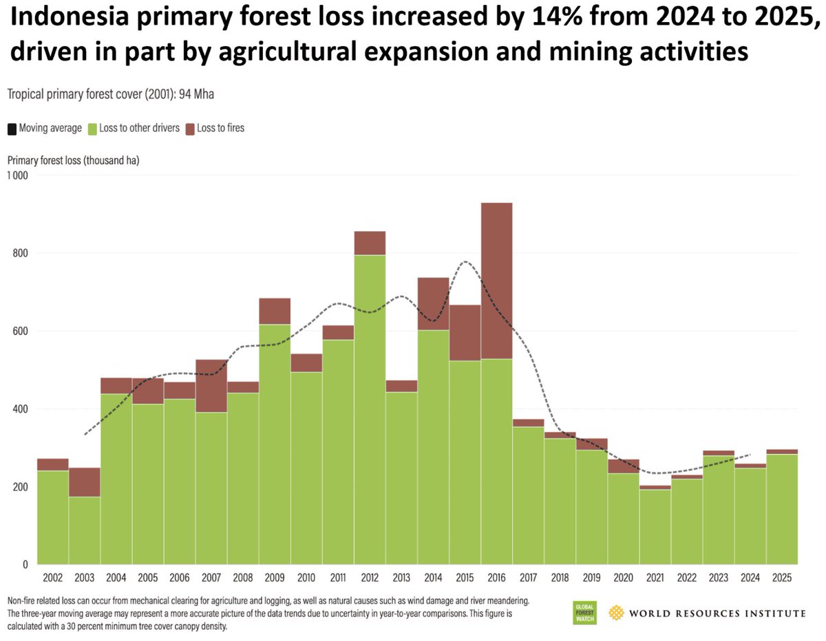 AidaGreenbury's tweet image. Indonesia ranked fourth, with 296,000 hectares of primary forest loss in 2025 — a 14% increase from the previous year, though still well below levels seen in the mid-2010s.

news.mongabay.com/2026/04/tropic…
