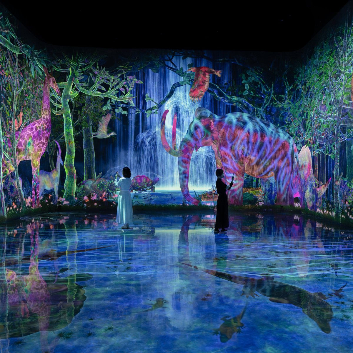 チームラボ プラネッツ teamLab Planets TOKYO tweet media