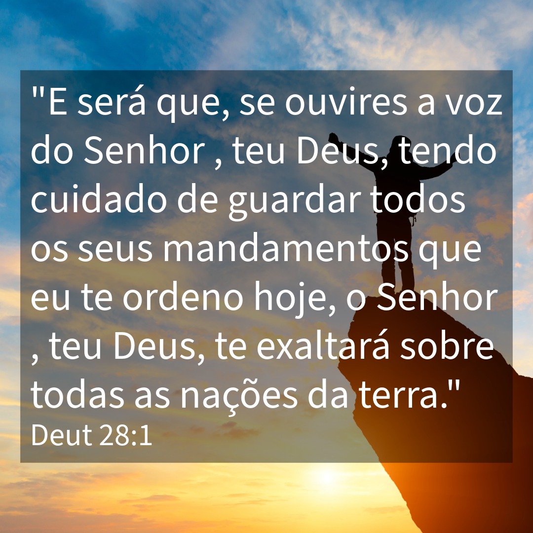 Brasa Viva tweet media