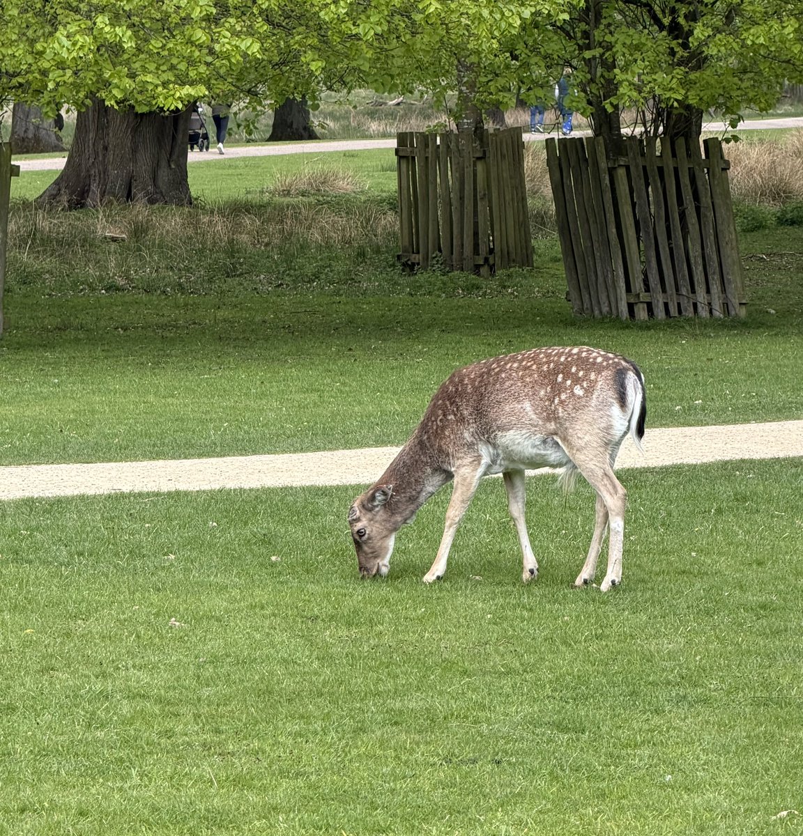 All Hallows Salford tweet media