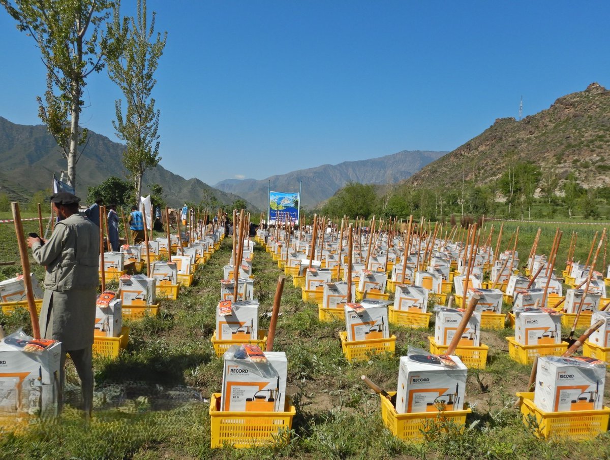 UNDP Afghanistan tweet media