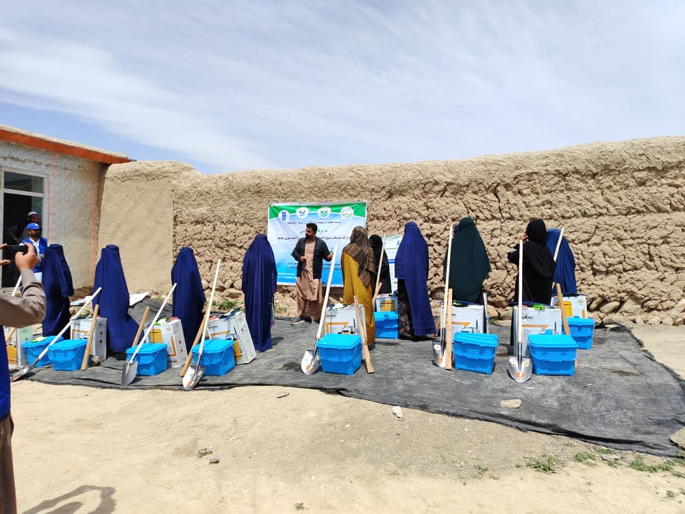 UNDP Afghanistan tweet media