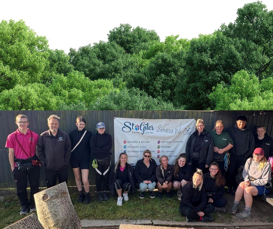 StGilesWelfare's tweet photo. Staff training day today! 💪
We are committed to supporting our team and investing in the training needs of both our Centre and Welfare staff, ensuring everyone has the knowledge and skills to provide the very BEST care and service we can offer. https://t.co/0mI67IGra7