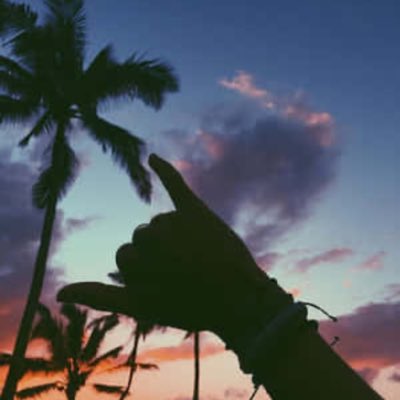 CobraGirl619's tweet image. #Hawaii ❤️ #MauiStrong ❤️