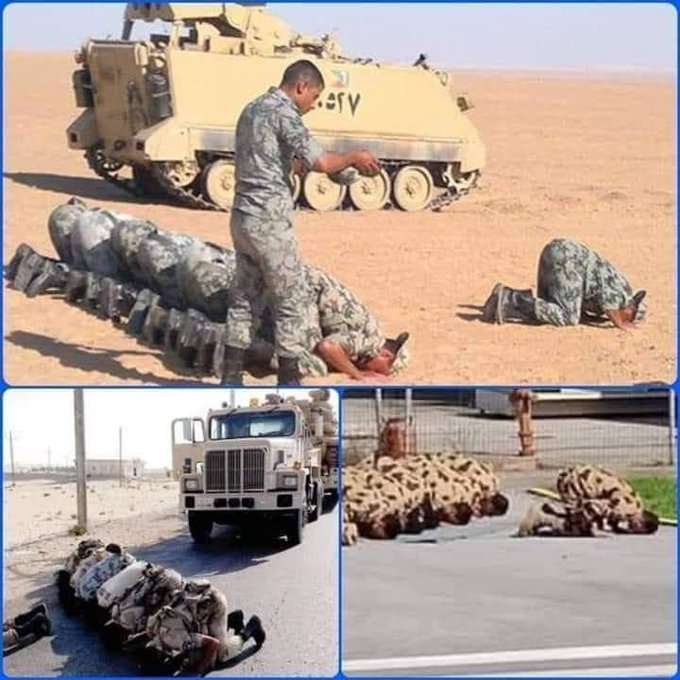 ˜”*°•.˜”*°• الملكة فريدة •°*”˜.•°*”˜ tweet media