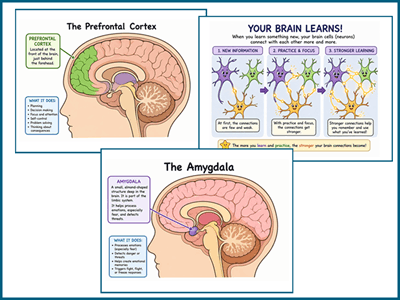 K5Learning's tweet photo. Struggling to sometimes focus or stay in control? It’s your brain still developing. Learn how your brain works and how to use it better.

https://t.co/LXdRcNn9M7

#k5 #science #brain #printables #worksheets #worksheetsforkids #free #K5Learning https://t.co/OOUMQTE9Li