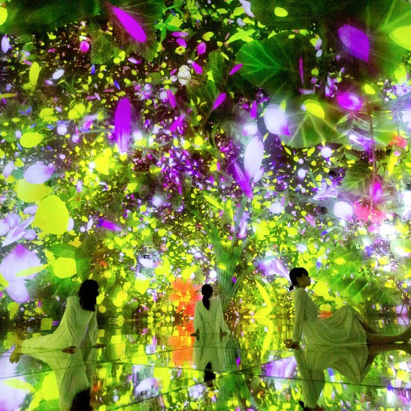 チームラボ プラネッツ teamLab Planets TOKYO tweet media