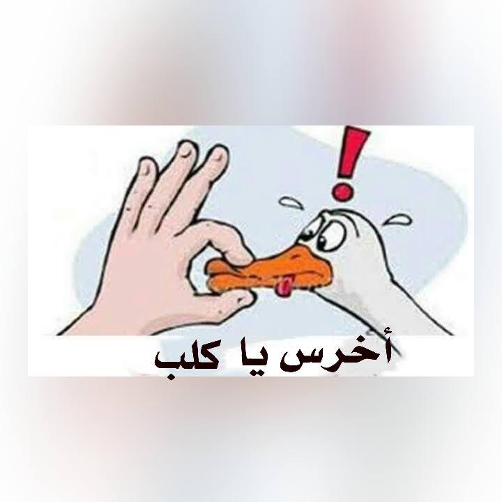 abdalish5142's tweet photo. @e0_s1 @AJELNEWS24 https://t.co/Sa0QPkH8Tt