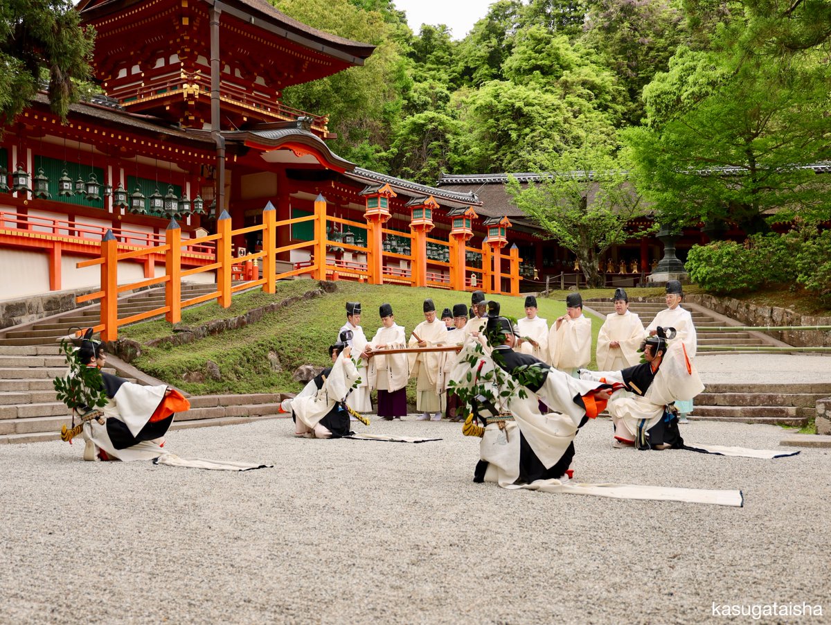 春日大社 kasugataisha shrine tweet media