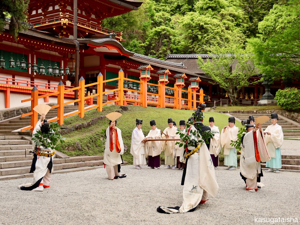 春日大社 kasugataisha shrine tweet media