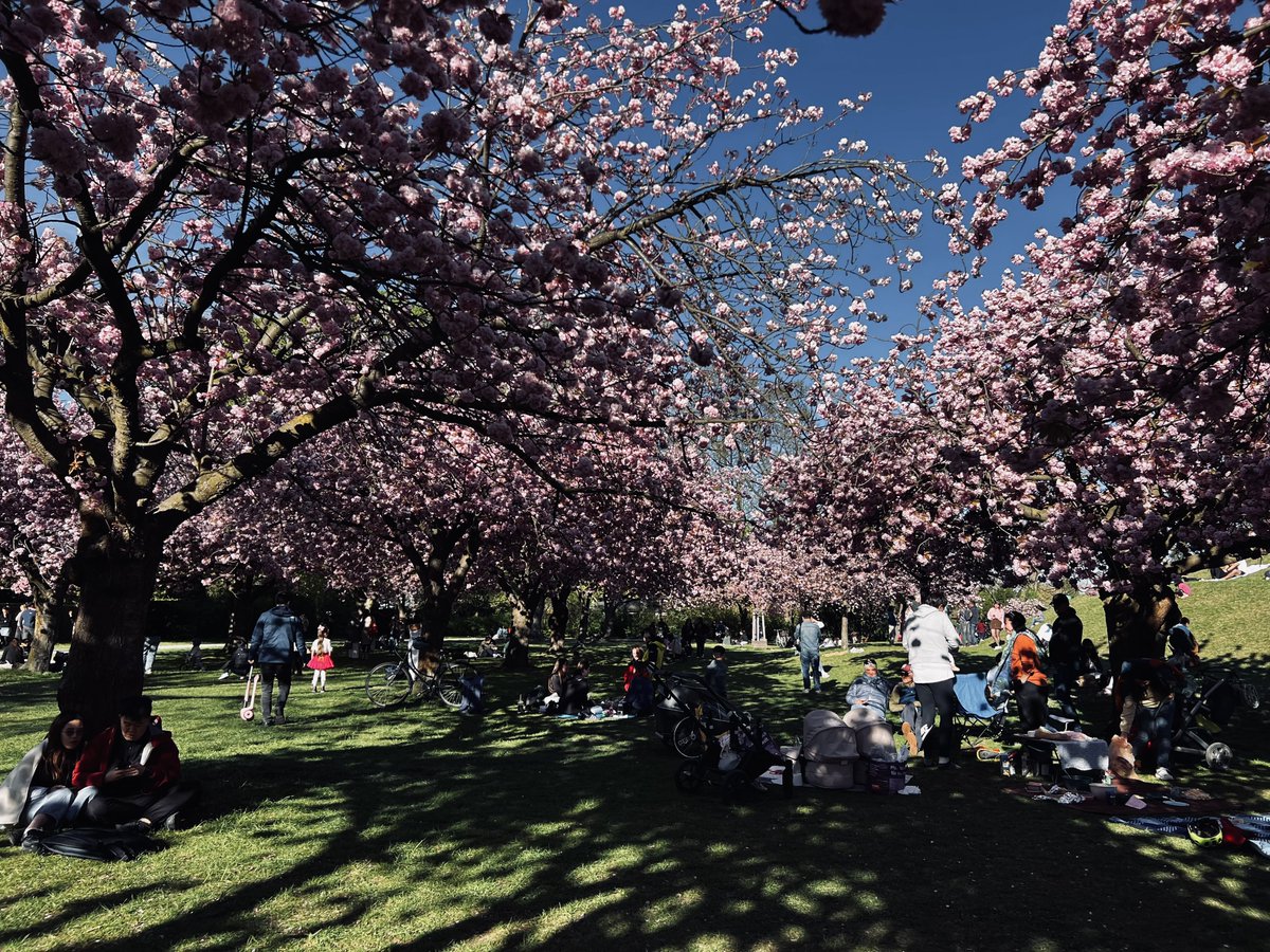 Suyutong tweet media