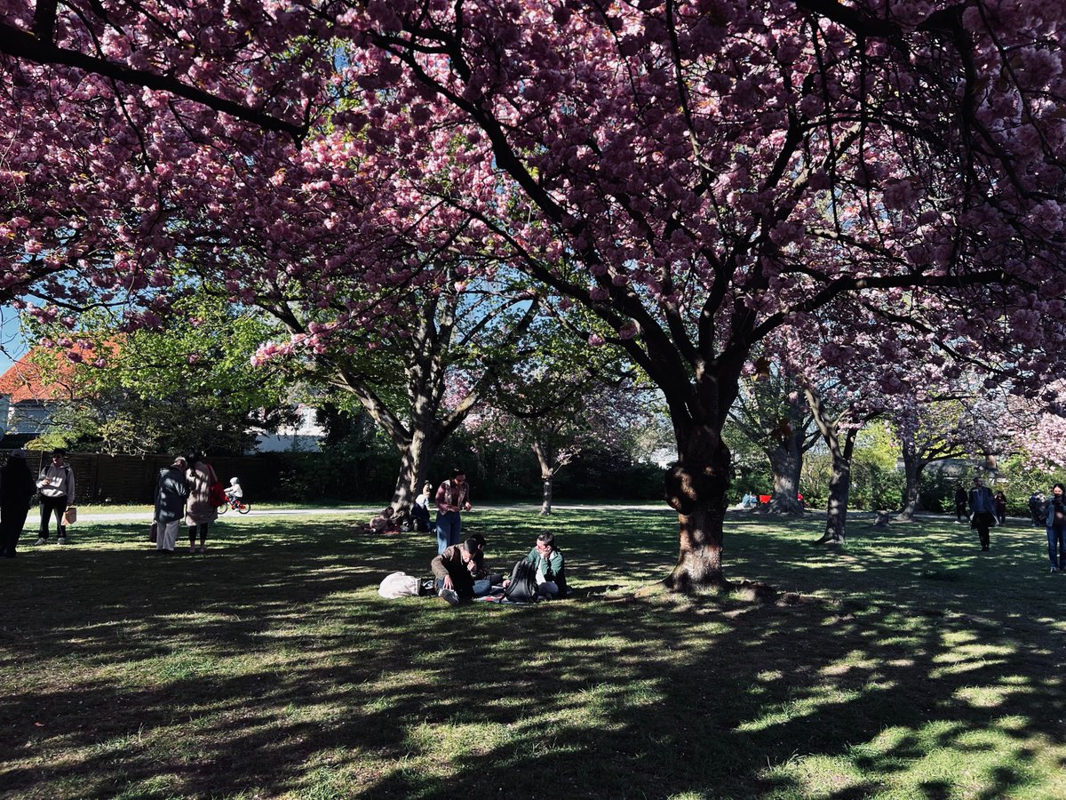 Suyutong tweet media