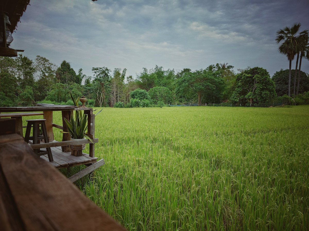 se7encutter tweet media