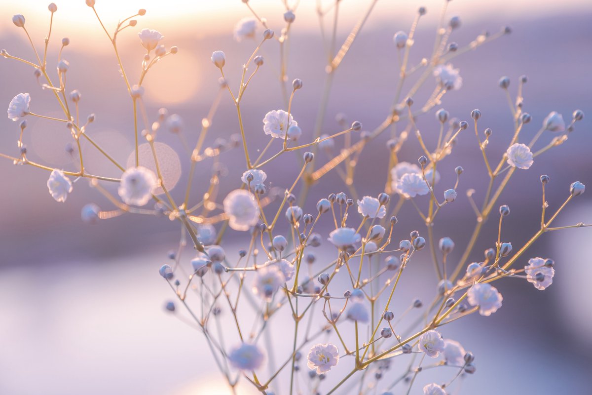 紡季｜tsumugi 書籍発売中 tweet media