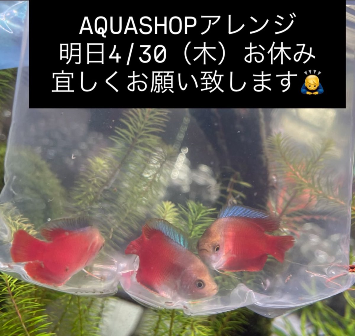 midoo621's tweet photo. https://t.co/rLeMbmQa2Y