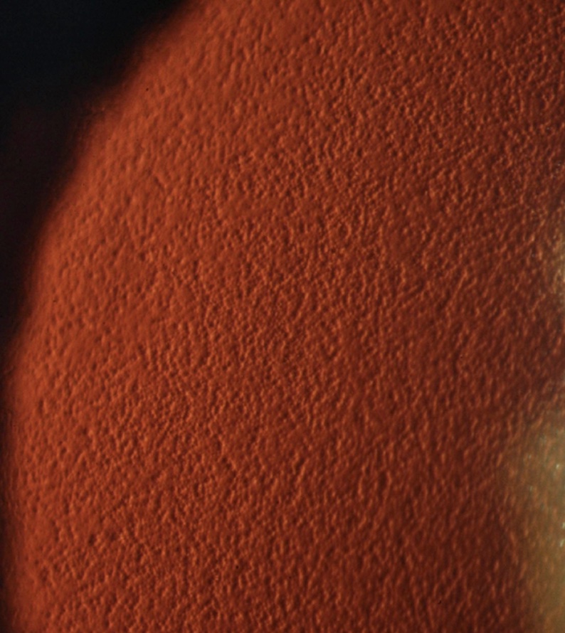 drgunjand's tweet image. Name the scientist.

#MedTwitter #ophthalmology 
Images from google