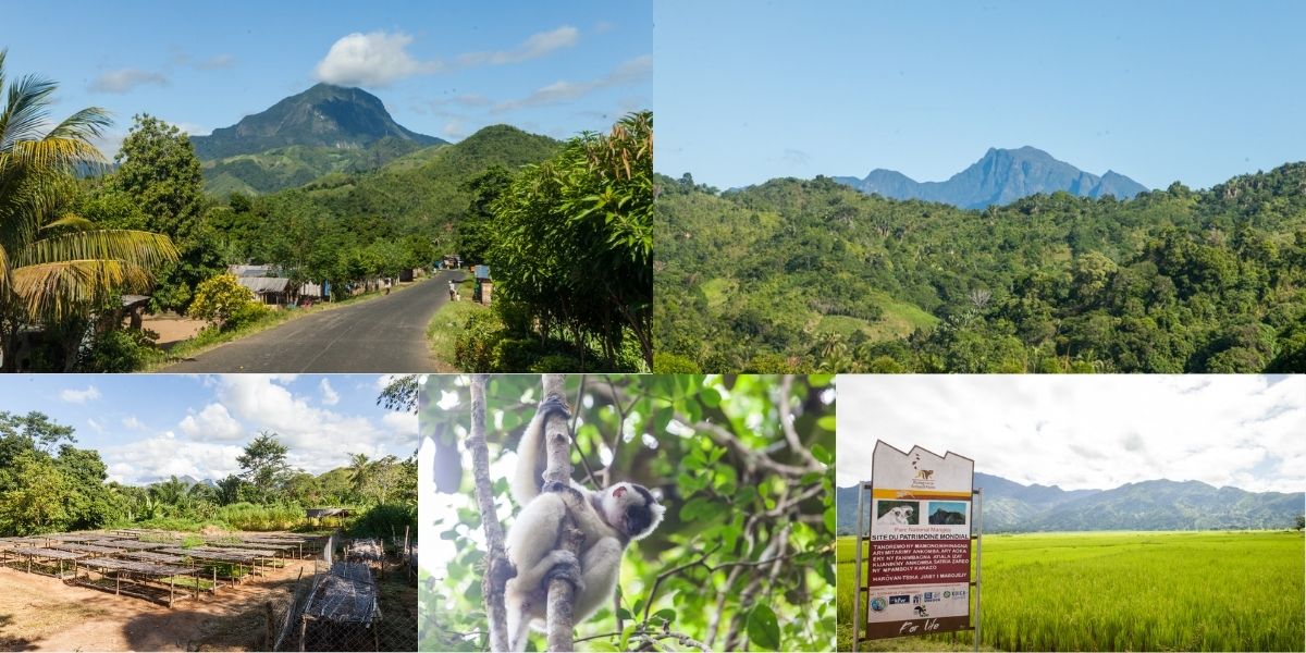TourismerIO's tweet image. The BIOCOM project, led by #UNESCO, stands out as an inspiring local initiative in #Madagascar
tourismer.io/biocom-project…
#sustainabletourism #responsibletourism #IndianOcean #Tourismer