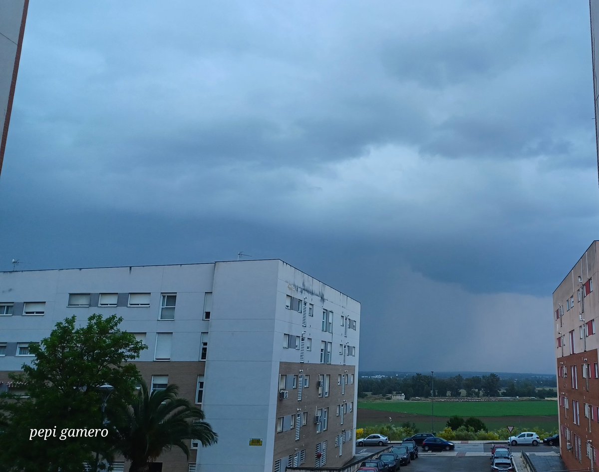 GameroPepi's tweet image. Las #cortinasdeprecipitacion son impresionantes de observar, como que toda la fuerza de una #nube cae de manera estrepitosa, #lafotodeldía #Badajoz 
Feliz miércoles 😉