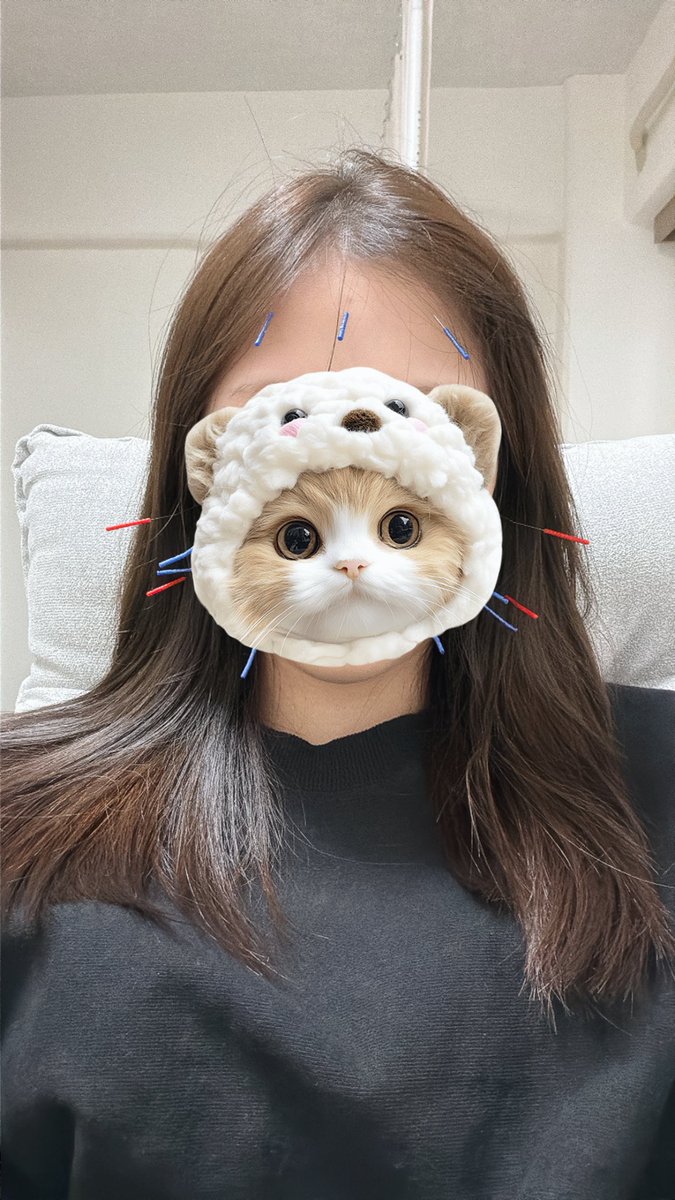 らむ🐑 tweet media