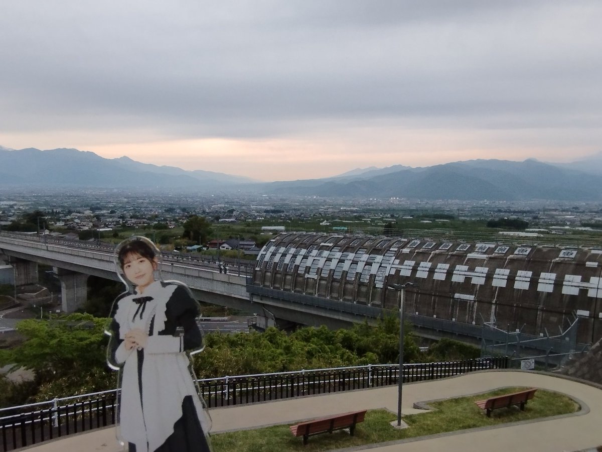 さめず tweet media