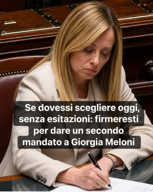 Frenkie_Woody tweet media