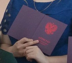 лисюша tweet media