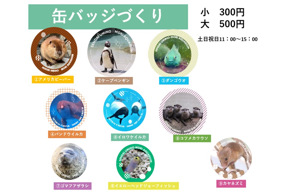 仙台うみの杜水族館】 土日祝日限定プログラム「缶バッジづくり」の