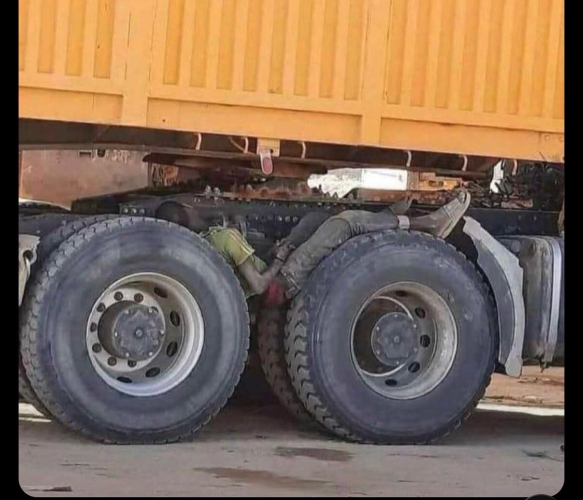 engemma8 tweet media