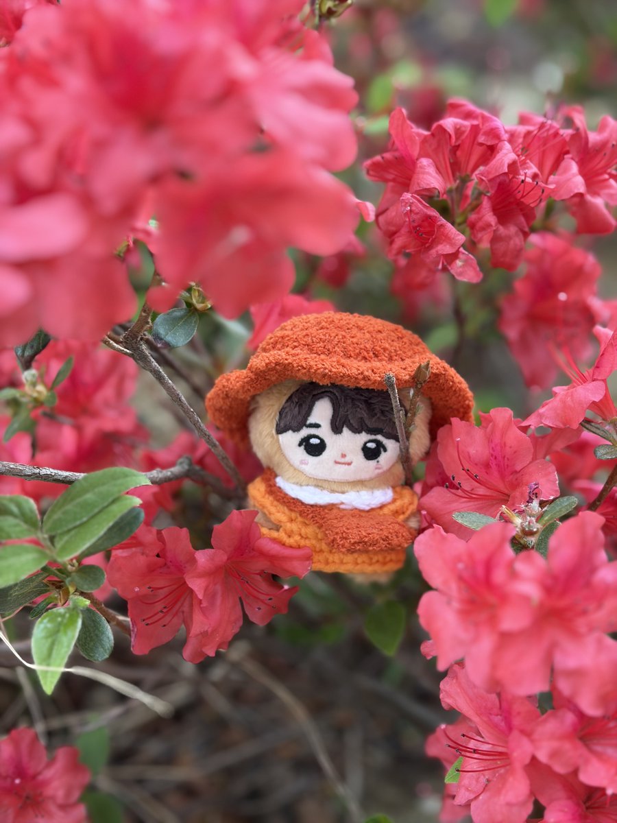 정규4집 2만장 돌파 축하 이벤트

상품: 공식깅 전용 꿀벌포레 듄클밍욺 중 하나 (1명), 얼집콩포레 뜨개옷 (색조합 선택가능) (1명)
참여방법: 앨범구매 인증 (사이트, 수량, 공구, 기부 다 상관❌)
추첨: 5/1일
수령: 추후공지

대단한 상품 아니지만… 일단 올려봅니다 🥹 마니 참여해주세요 🥰❤️