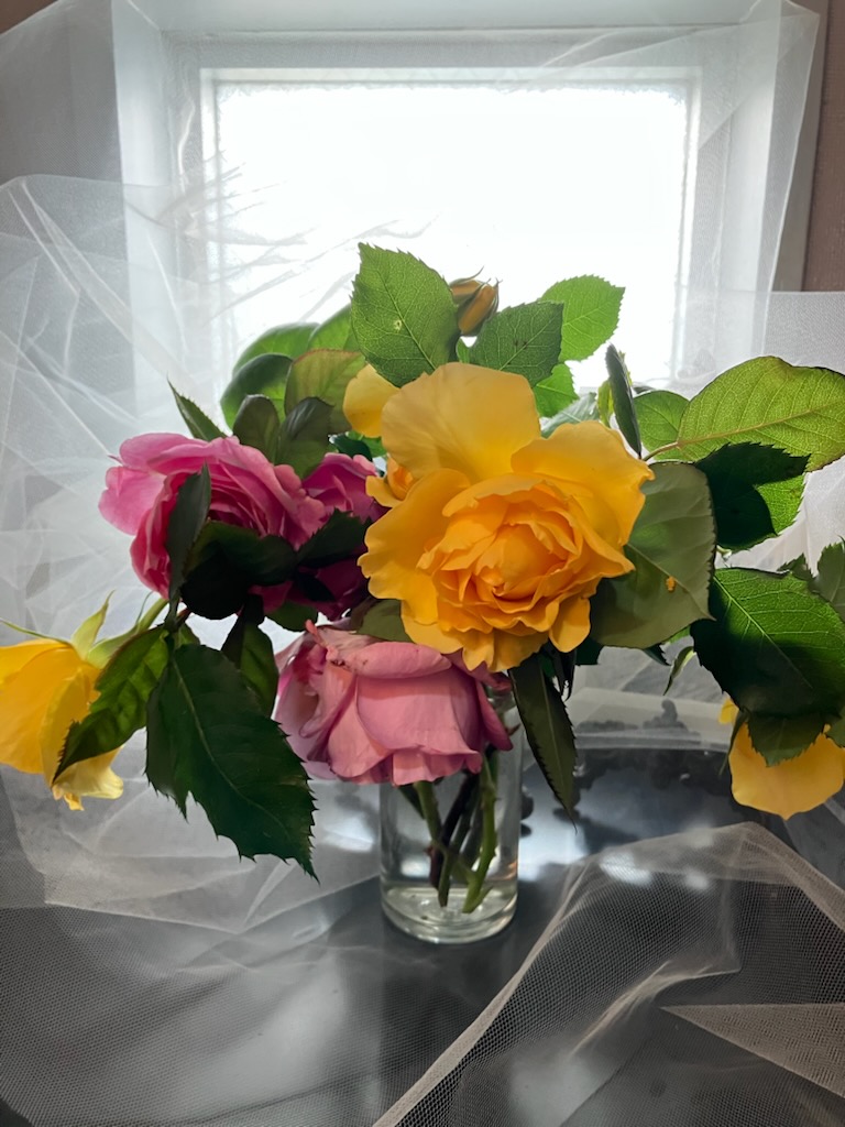 るる🫧🫧✨💫✨ tweet media