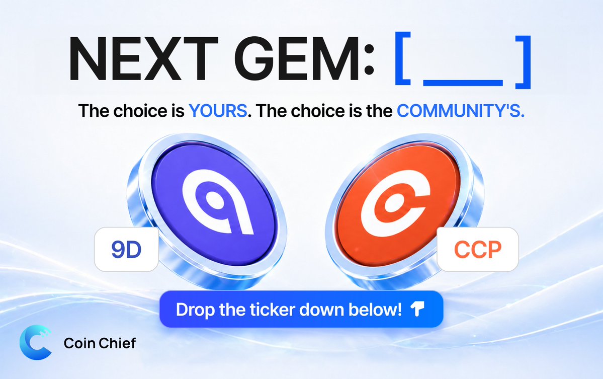 Coin Chief tweet media